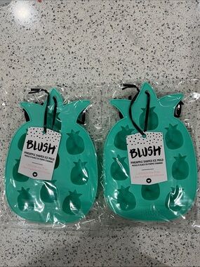 2 Blush Pineapple Silicone Ice Mold - Teal